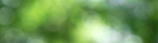 NJSFDA Staff Mourns Death of Colleague