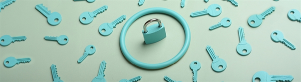 Maintenance Versus Stewardship