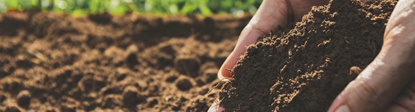 Georgia Legalizes Natural Organic Reduction