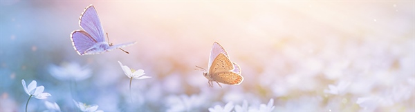 The Week in Funeral News, May 20, 2025