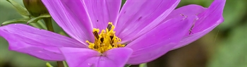 The Week in Funeral News, June 17, 2025