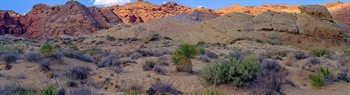 At Least 70 Piles of Cremated Remains Found Poured in Nevada Desert