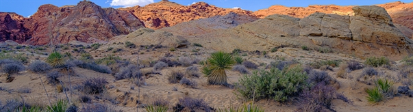 At Least 70 Piles of Cremated Remains Found...