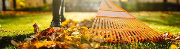 The Week in Funeral News, October 14, 2025