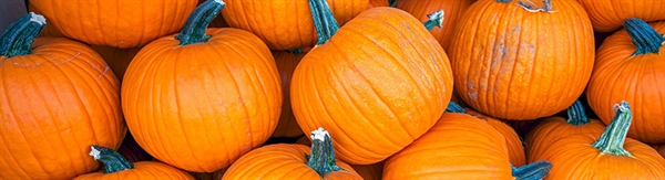 The Week in Funeral News, October 28, 2025