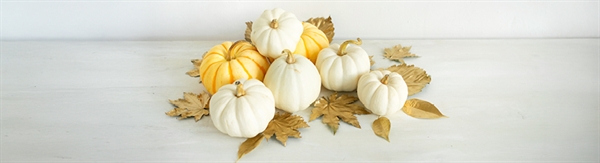 NJSFDA Office Closed for Thanksgiving