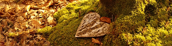 November Condolences