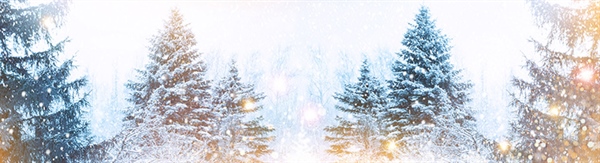 The Week in Funeral News, December 16, 2025