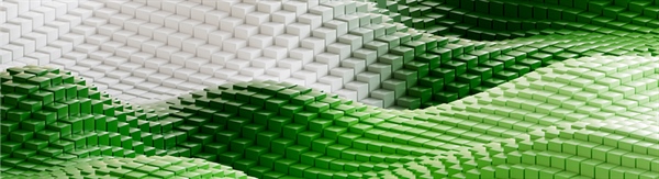 Regulations Are Limiting Cremation Capacity in Washington State