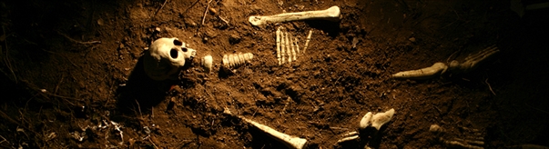 Man Arrested for Stealing Bones of 100 Corpses...