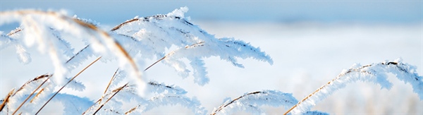 The Week in Funeral News, January 20, 2026