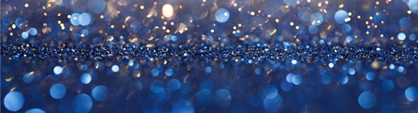 NJSFDA Represented at Governor’s Inaugural Ball