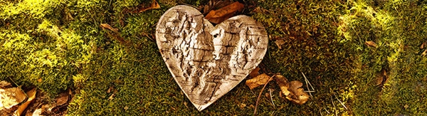 February Condolences