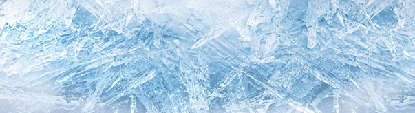 The Week in Funeral News, February 3, 2026