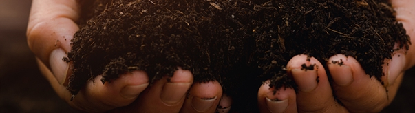 Completing a Death Certificate for a Decedent...