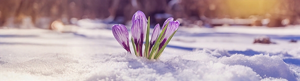 The Week in Funeral News, March 31, 2026