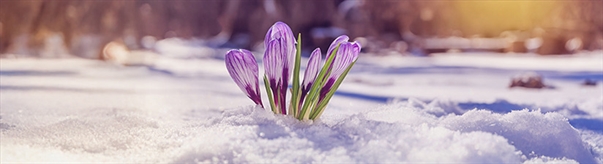 The Week in Funeral News, March 31, 2026