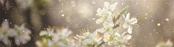 The Week in Funeral News, April 7, 2026