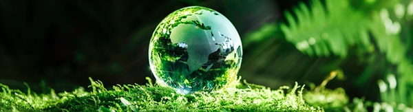 How Environmentally Friendly Is NOR?