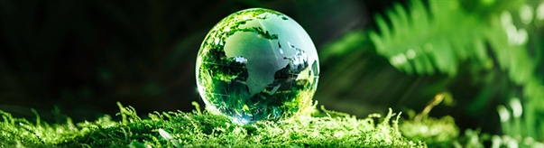 How Environmentally Friendly Is NOR?