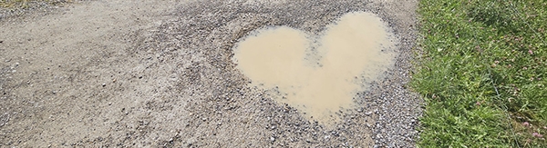 The Week in Funeral News, April 21, 2026