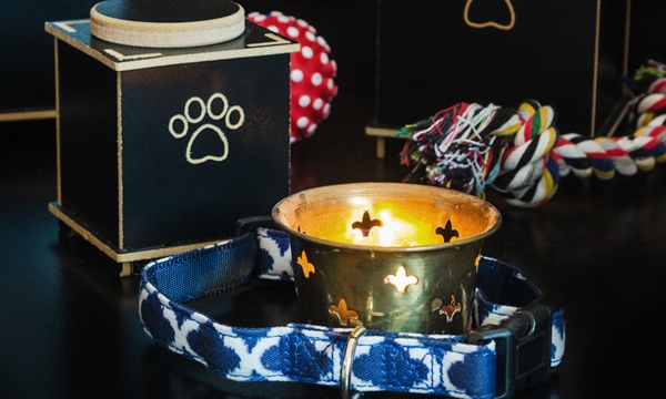 PA Seeks to Regulate Pet Cremation Industry