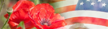 Memorial Day Lost