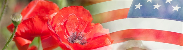 Memorial Day Lost