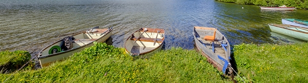 The Week in Funeral News, June 23, 2026