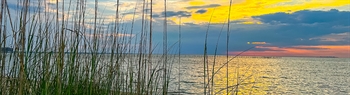 The Week in Funeral News, July 14, 2026