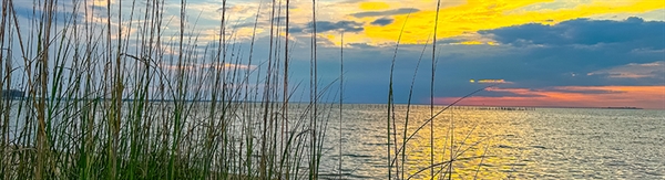 The Week in Funeral News, July 14, 2026