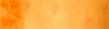 A Pumpkin Spice Casket? It’s Not Too Latte