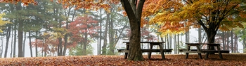 The Week in Funeral News, September 29, 2026