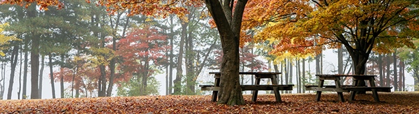 The Week in Funeral News, September 29, 2026