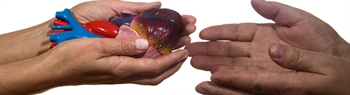 Proposed Legislation Would Clarify Process for Anatomical Gifts