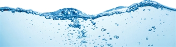 Regional Water Cremation Facility Opens in Vermont