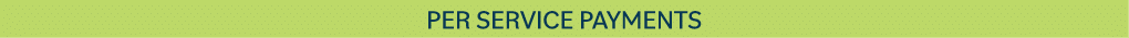 Per Service Payments 