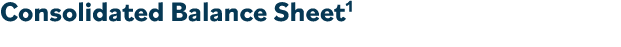 Consolidated Balance Sheet1  