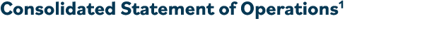 Consolidated Statement of Operations1  