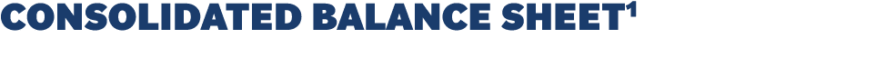 Consolidated Balance Sheet1  